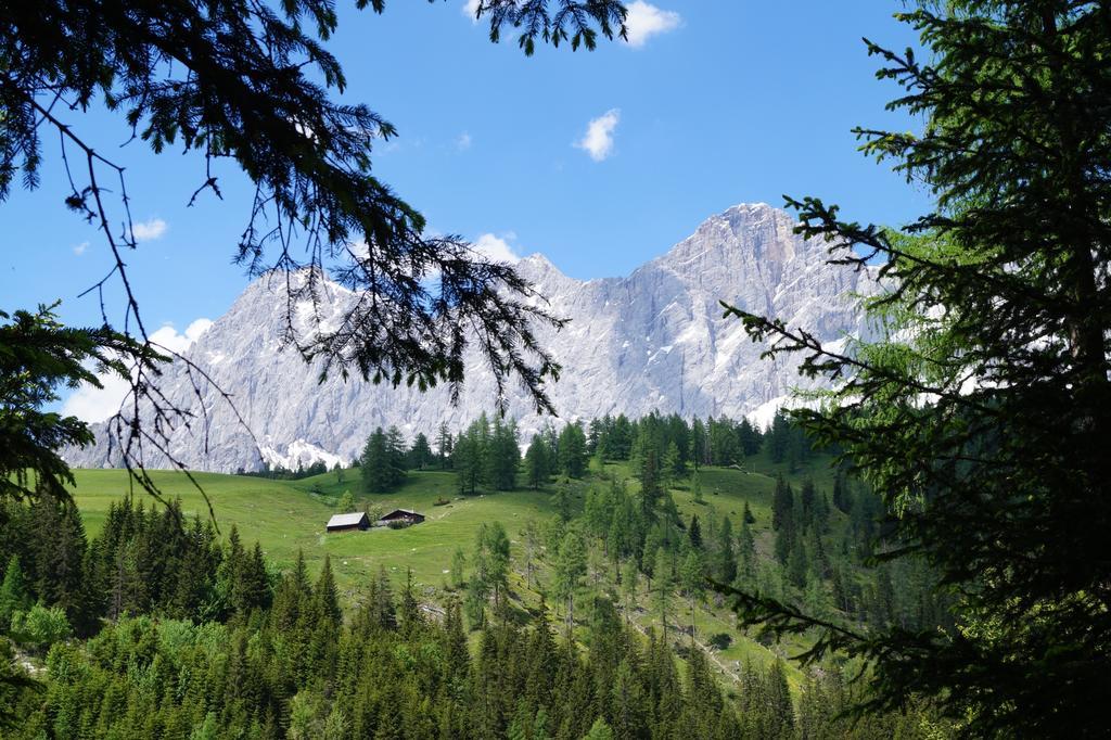 Haus Latschenheim Apartment Ramsau am Dachstein Exterior photo